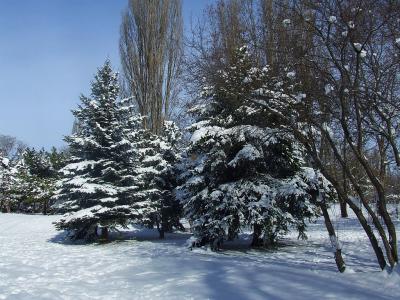 Прикрепленное изображение: p05.jpg